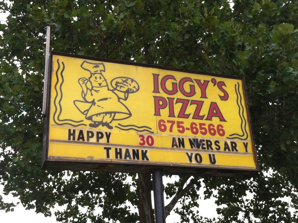 Iggys Pizza | 19450 Van Horn Rd, Woodhaven, MI 48183, USA | Phone: (734) 675-6566