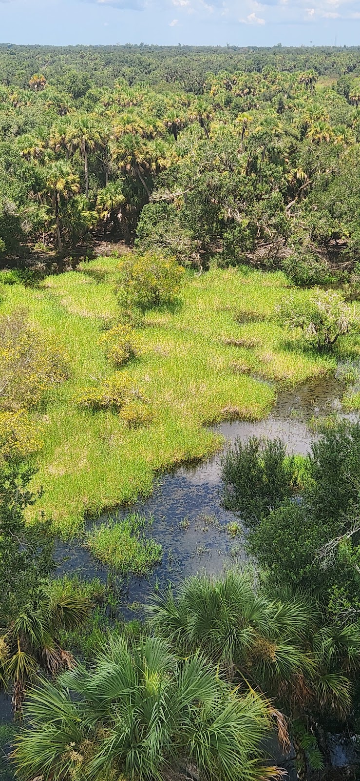 Myakka River State Park | Sarasota, FL 34241, USA | Phone: (941) 361-6511