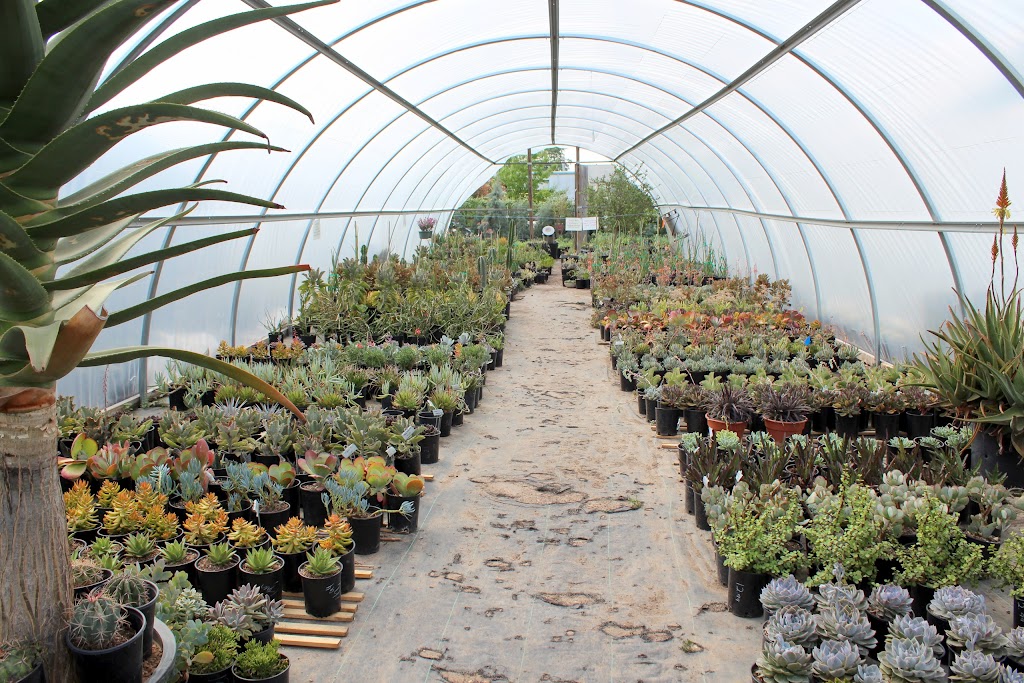 Vivero Growers Nursery | 12000 US-290, Austin, TX 78737 | Phone: (512) 587-4476