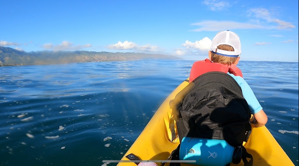 Coastal Kayak Tours | 62-207 Kawailoa Dr, Haleiwa, HI 96712, USA | Phone: (808) 234-4047