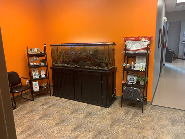 ChiroTrendz Family Chiropractic, Massage and Wellness Center | 18610 E Rittenhouse Rd A101, Queen Creek, AZ 85142, USA | Phone: (480) 999-4700