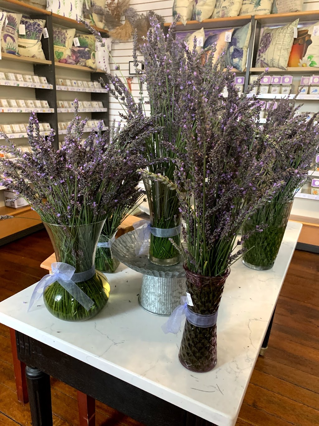 Little Mount Lavender | 6905 Shelbyville Rd, Simpsonville, KY 40067, USA | Phone: (502) 437-2141