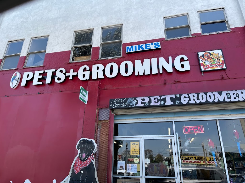 Mikes Pet Store and pet grooming | 1224 Florence Ave, Los Angeles, CA 90001, USA | Phone: (323) 585-6553