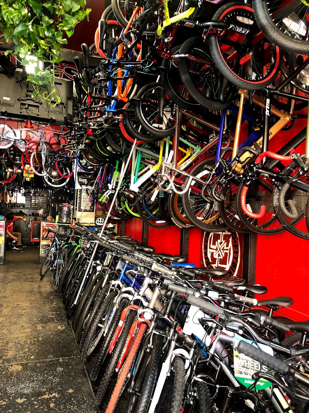 Kikes Bike Shop | 1916 W 7th St, Los Angeles, CA 90057, USA | Phone: (213) 413-0178