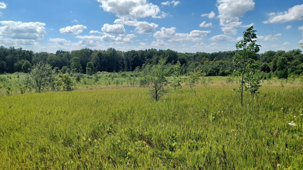 Huiras Lake State Natural Area | 6625 Clover Valley Rd, Fredonia, WI 53021, USA | Phone: (608) 266-0394