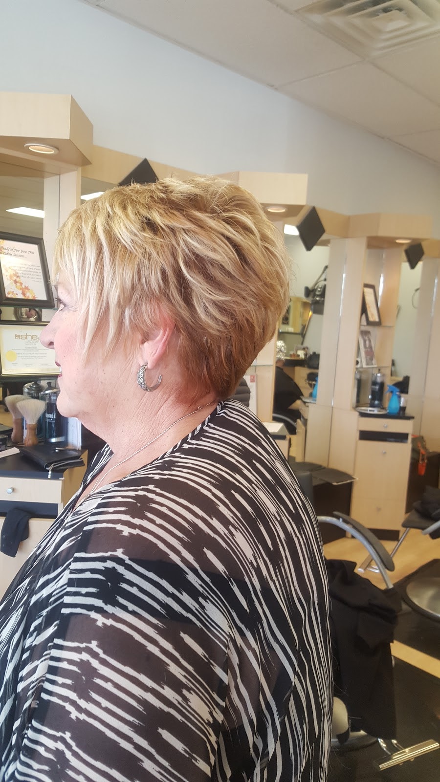 Roberta Williams Hair Design | 2146 Plum Grove Rd, Rolling Meadows, IL 60008, USA | Phone: (847) 358-0335