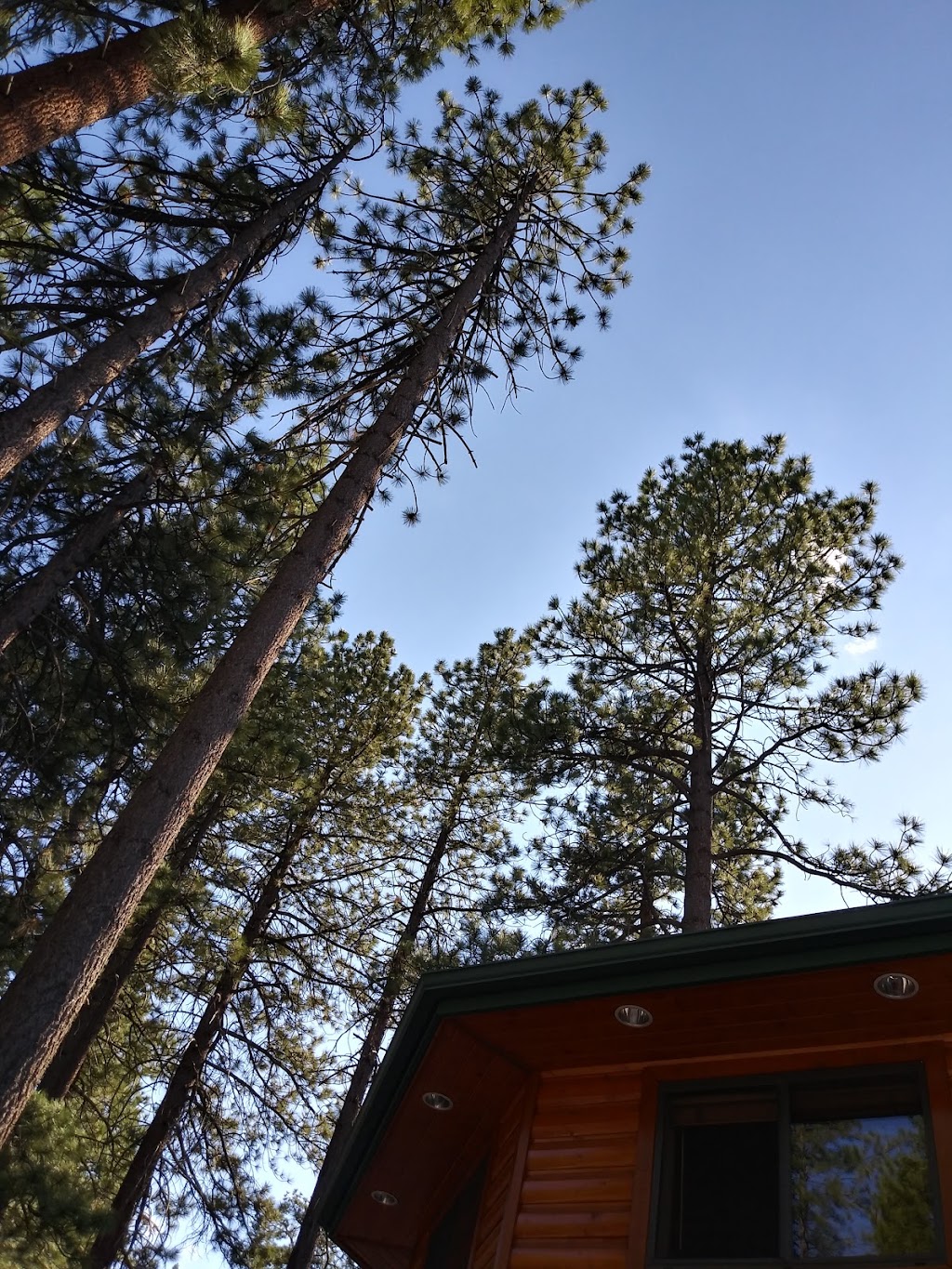 Pine Haven Cottages | 517 Knight Ave, Big Bear Lake, CA 92315, USA | Phone: (909) 866-2637