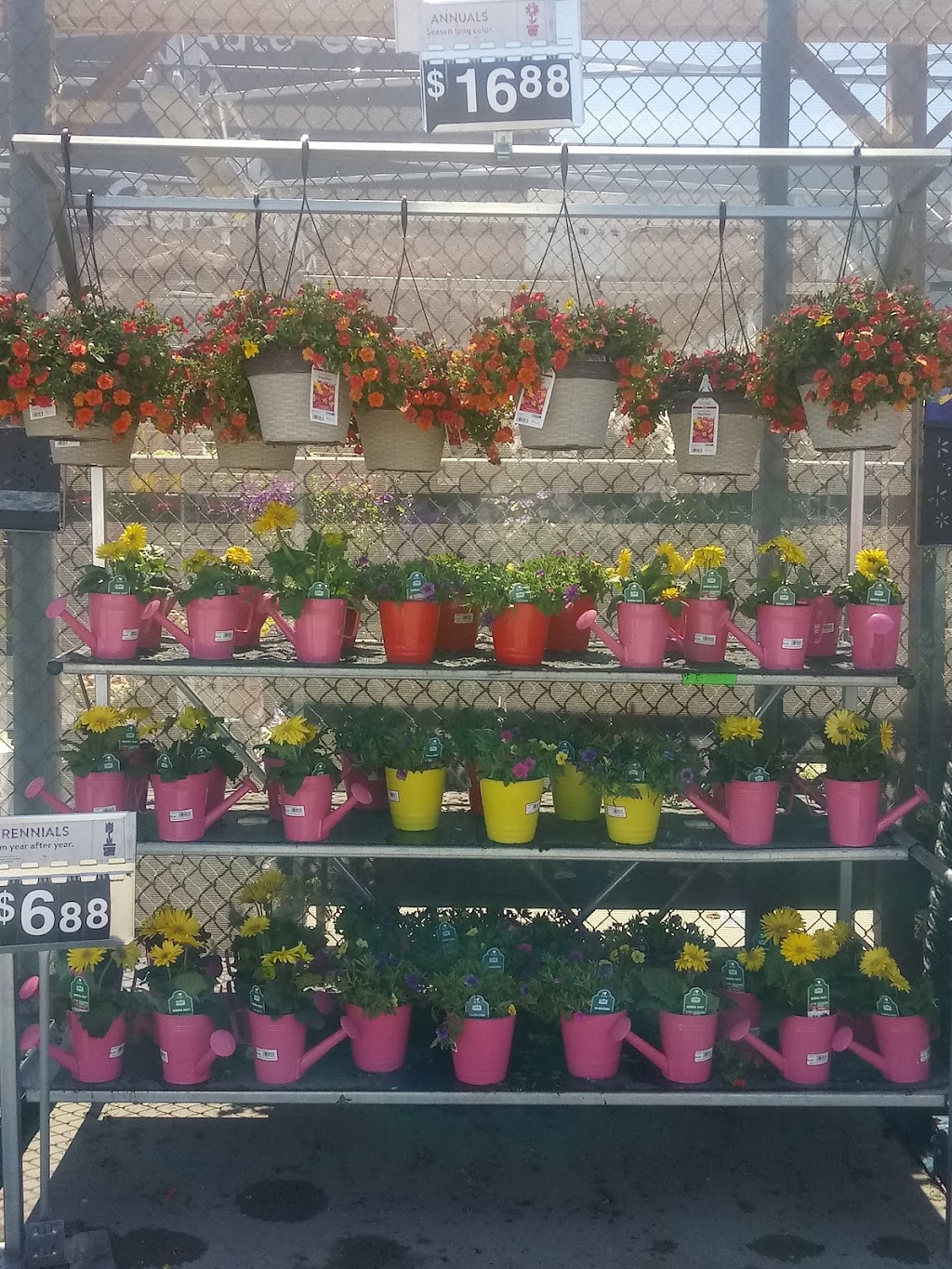 Walmart Garden Center | 5108 Cleveland Blvd, Caldwell, ID 83607 | Phone: (208) 455-0066