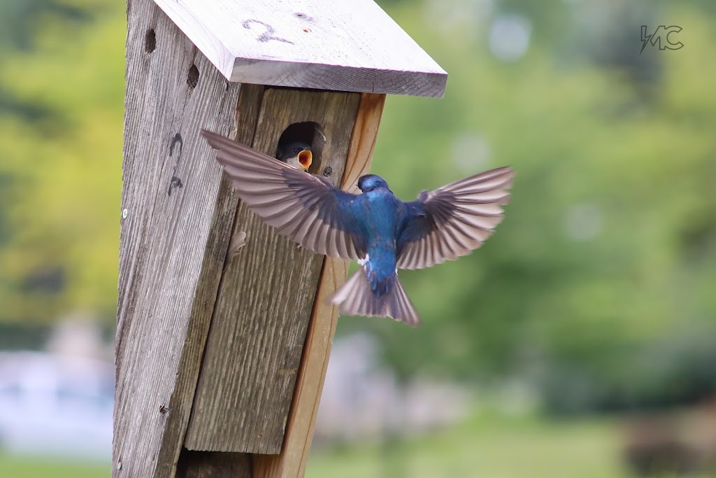 Savage Dome | Savage, MN 55378, USA | Phone: (952) 567-2095