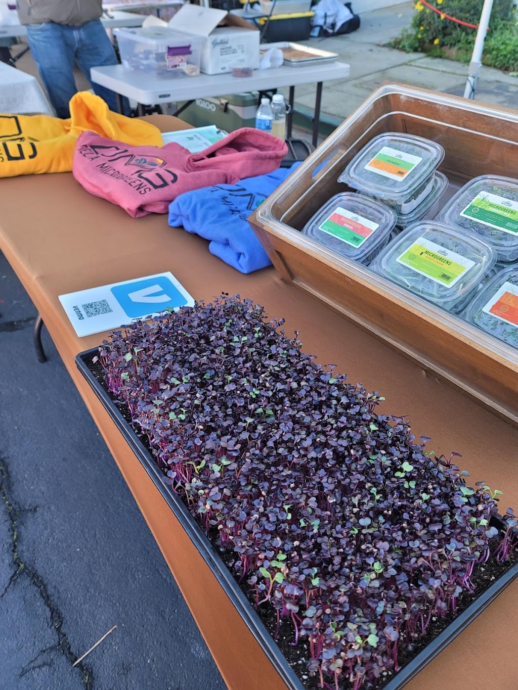 Delta Microgreens | 260 Link Rd B, Fairfield, CA 94534, USA | Phone: (707) 384-9094