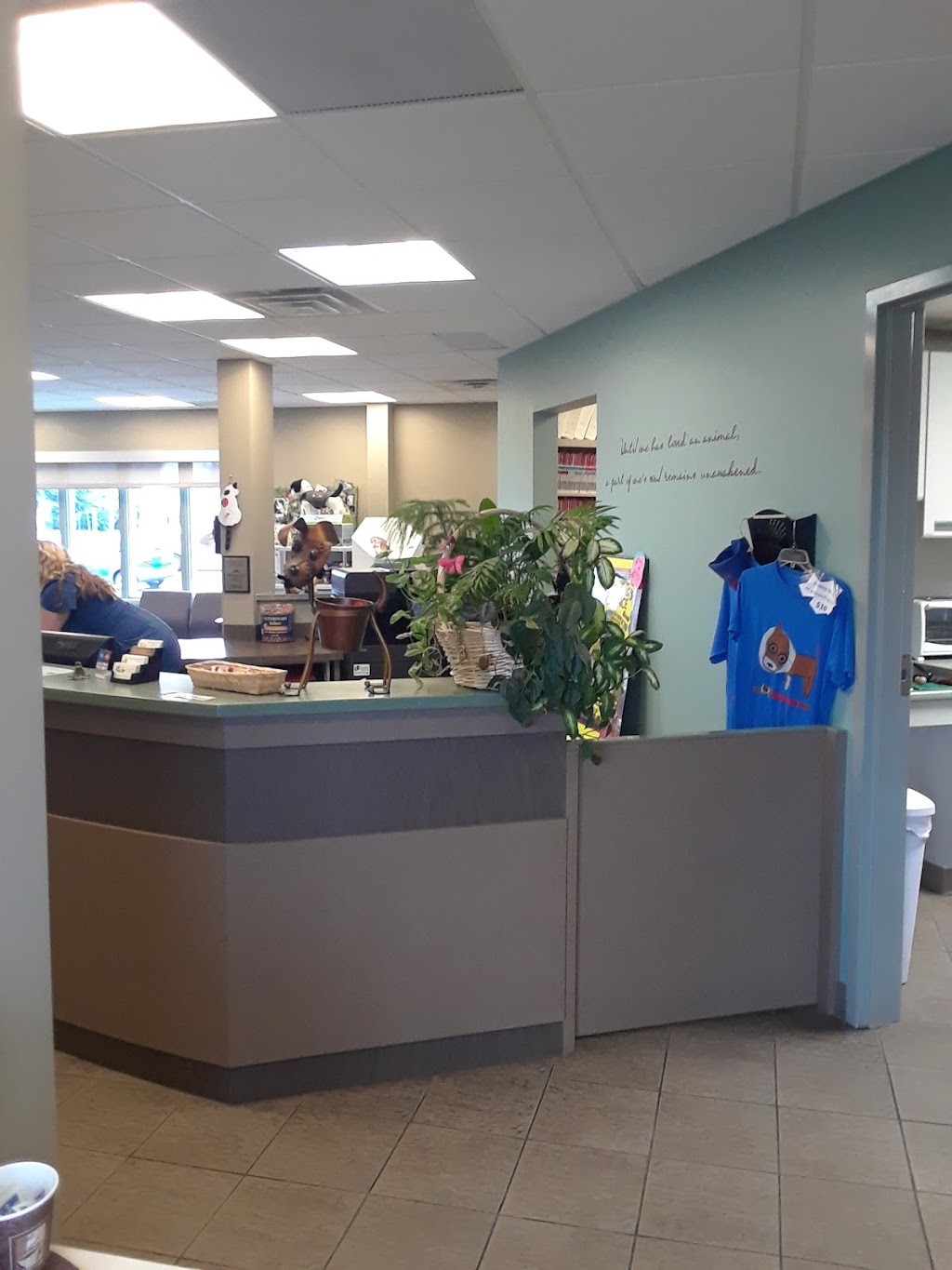 Town & Country Animal Clinic | 3000 Genesee St, Buffalo, NY 14225, USA | Phone: (716) 896-2424