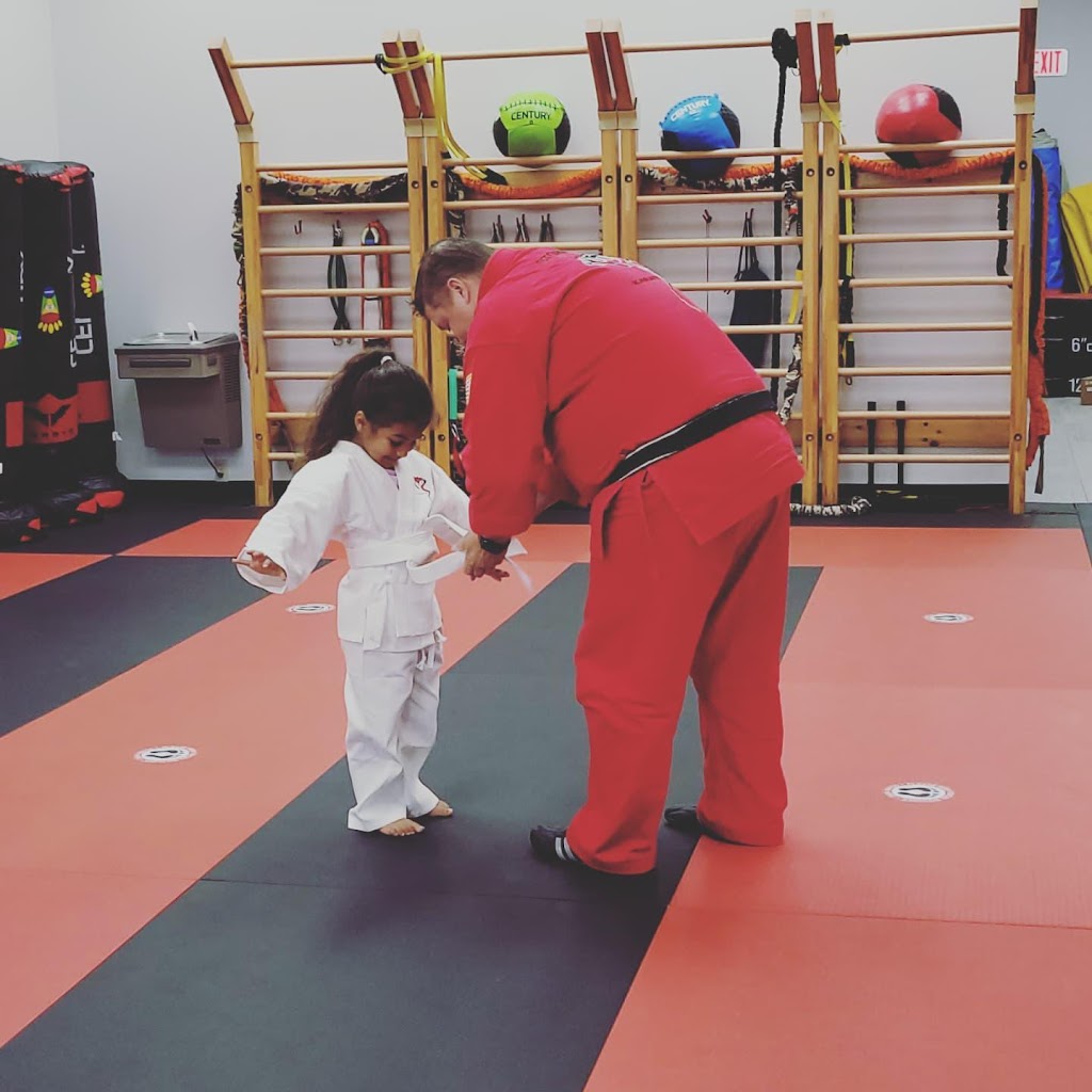 Dojo Karate - Medina | 212 Clydesdale Trail Ste 1020, Medina, MN 55340, USA | Phone: (763) 478-4968