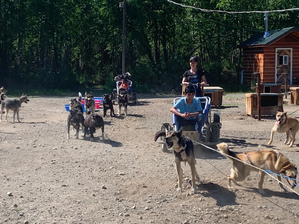 Alaskan Husky Adventures | 18408 W Reynolds Rd, Willow, AK 99688, USA | Phone: (907) 744-8211