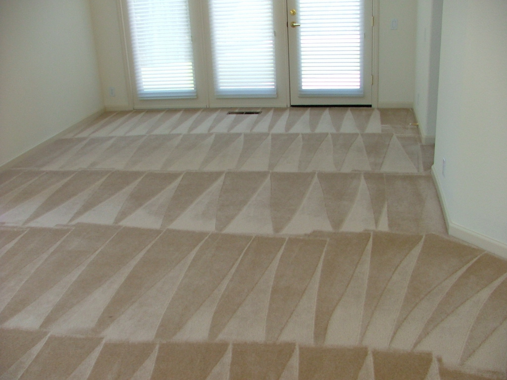 Magic Touch Carpet Cleaning of Tampa | 6119 Mangrove Dr, Wesley Chapel, FL 33544, USA | Phone: (813) 857-3107