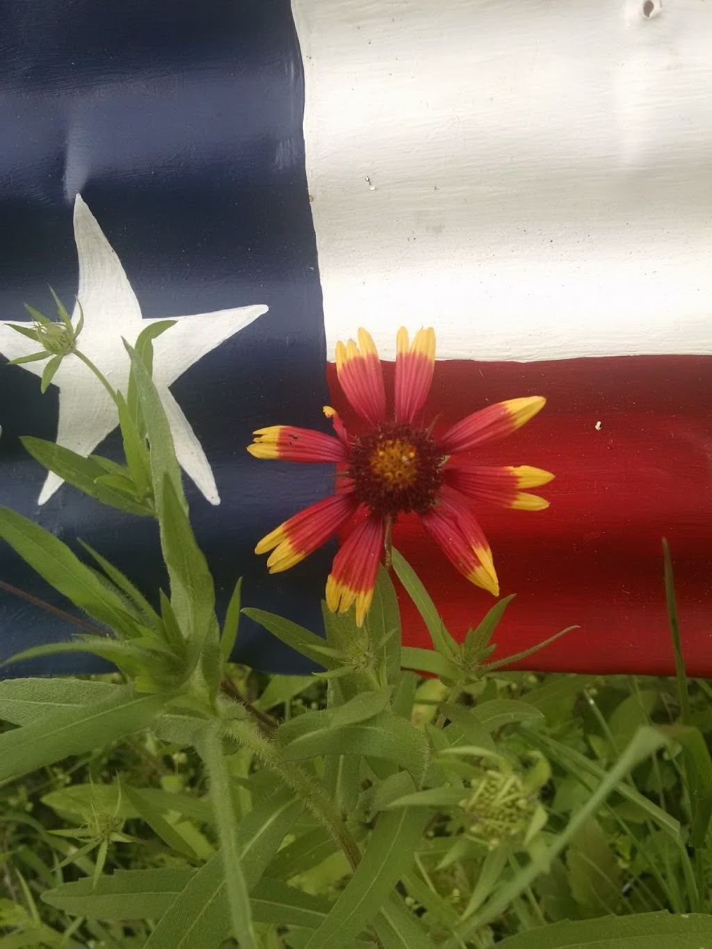 Tournament Targets Inc | 8813 Little Geronimo St, San Antonio, TX 78254, USA | Phone: (210) 688-6200 Tournament Targets Inc | 8813 Little Geronimo St, San Antonio, TX 78254, USA | Phone: (210) 688-6200