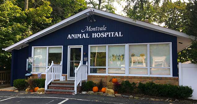 Montvale Animal Hospital | 115 Chestnut Ridge Rd, Montvale, NJ 07645, USA | Phone: (201) 391-4342