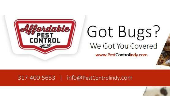 Affordable Pest Control | 2342 Black Gold Dr, Indianapolis, IN 46234, USA | Phone: (317) 400-5653