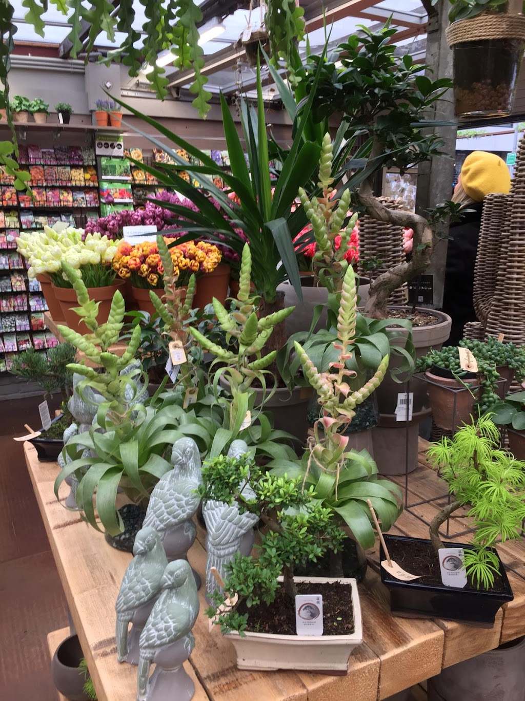 Cheese & More Flower Market | Singel 540, 1017 AZ Amsterdam, Netherlands | Phone: 06 23843408