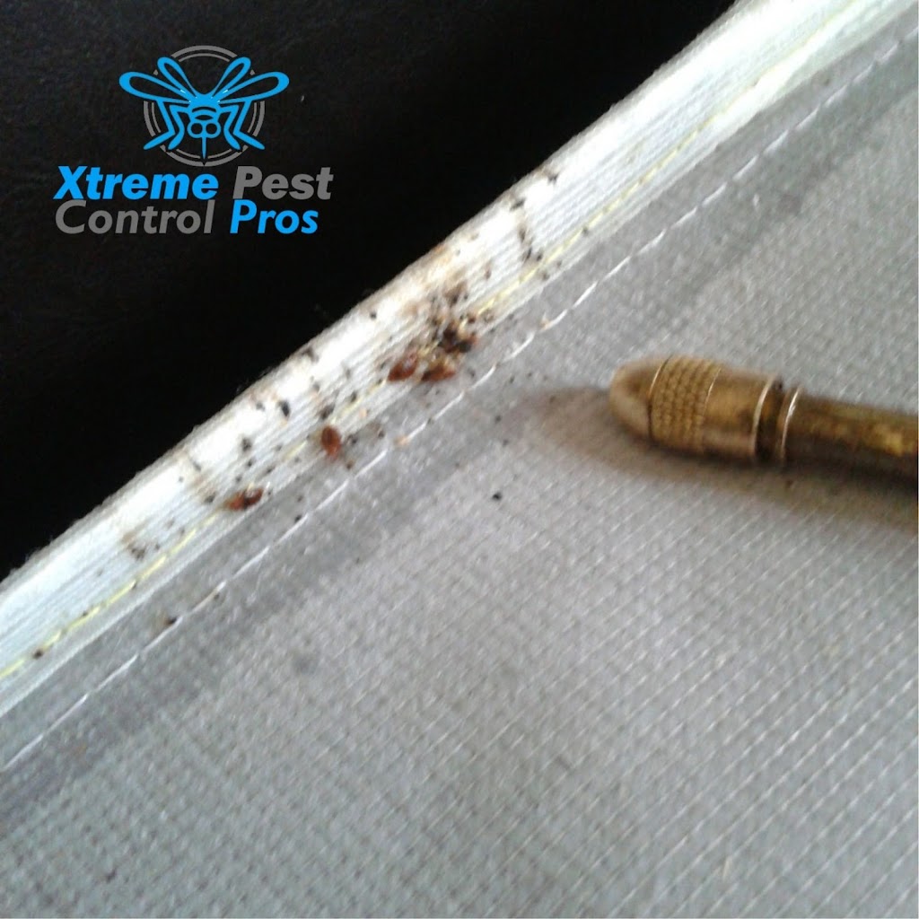 Xtreme Pest Control | 1147 Brookview Cir, Pickerington, OH 43147, USA | Phone: (740) 660-3671