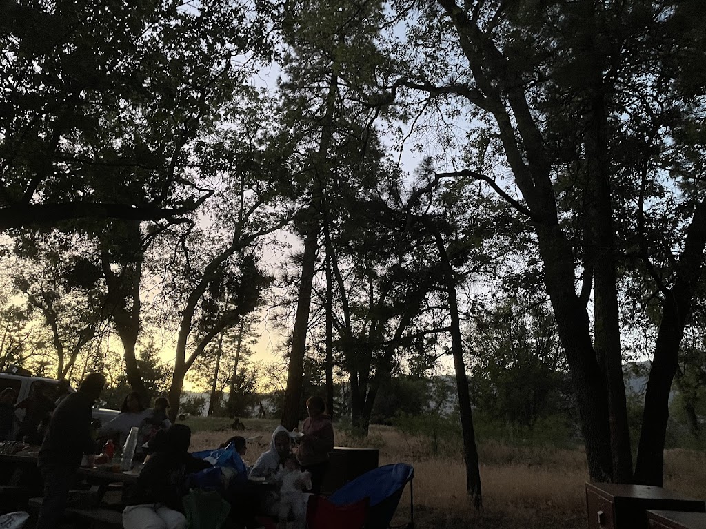 Lobo Group Campground | 43270 CA-38, Angelus Oaks, CA 92305, USA | Phone: (877) 444-6777