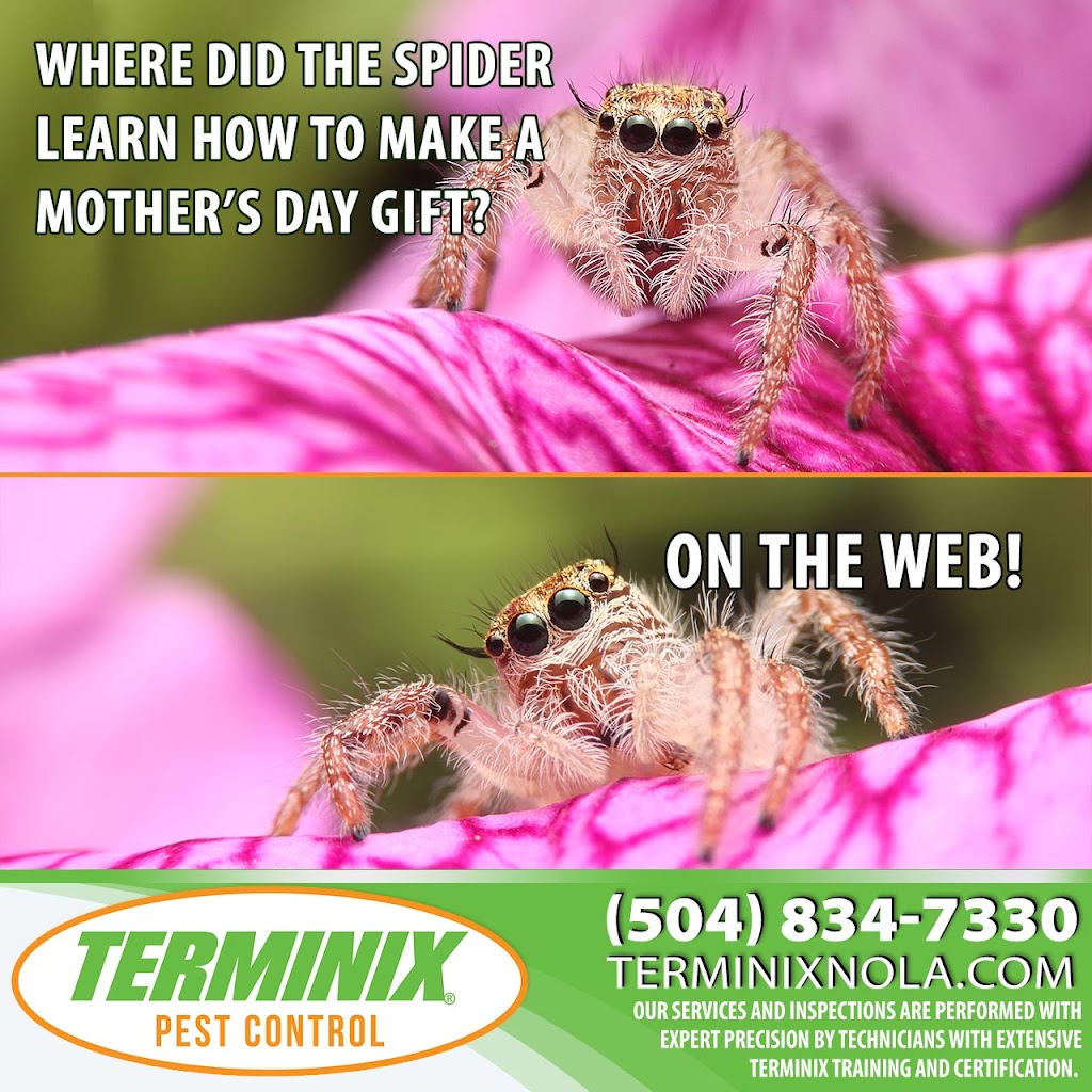 Terminix Northshore | 4990 LA-22 Suite A, Mandeville, LA 70471, USA | Phone: (985) 892-4450