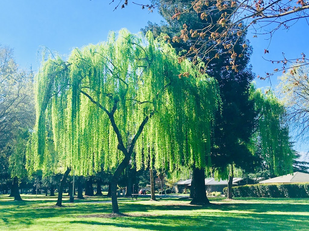 Frank Seymour Park | 845 Florin Rd, Sacramento, CA 95831, USA | Phone: (916) 808-6060