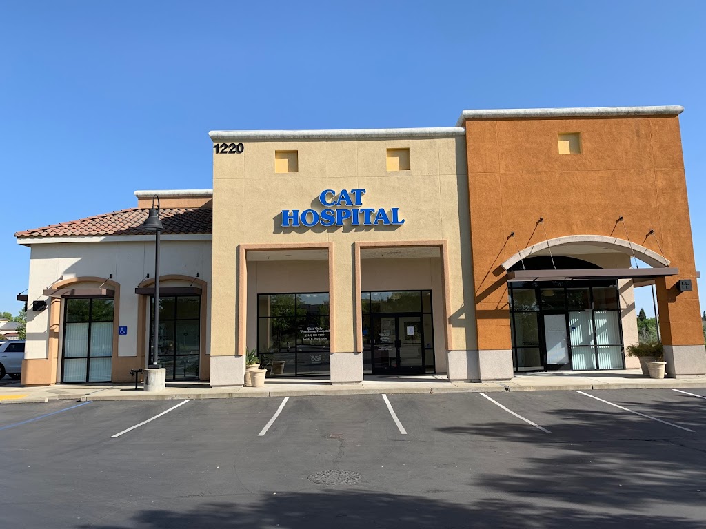 Cats Only Veterinary Hospital | 1220 Sunset Blvd, Rocklin, CA 95765, USA | Phone: (916) 435-9300