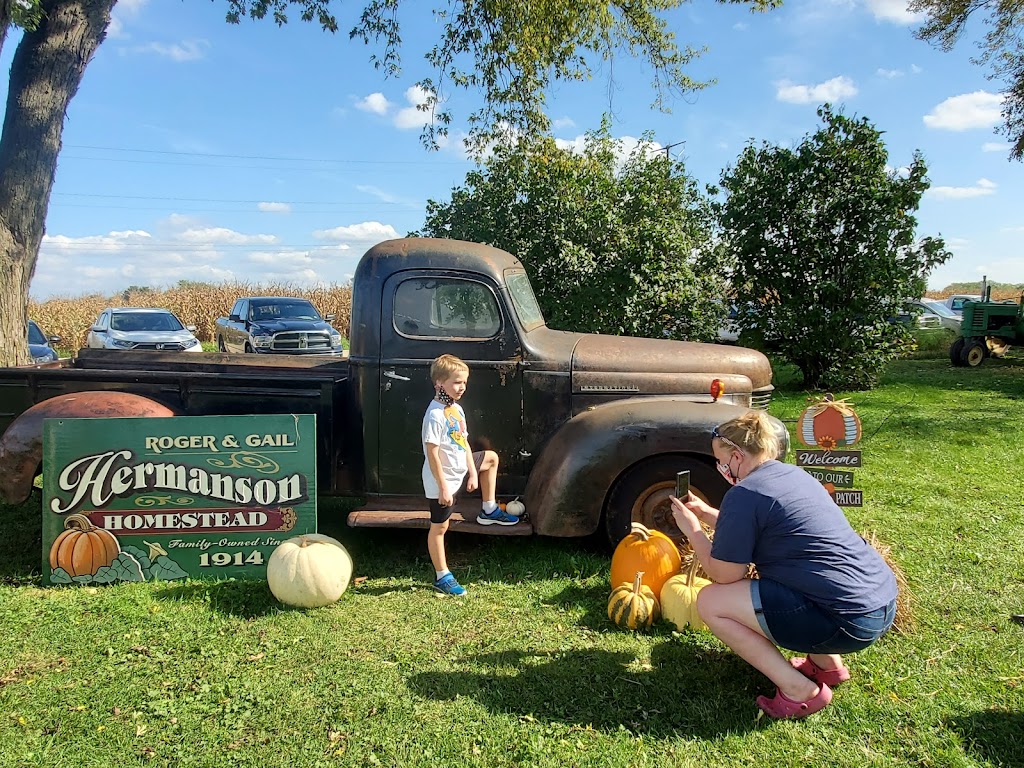 Hermanson Pumpkin Patch | 127 County Hwy N, Edgerton, WI 53534, USA | Phone: (608) 751-9334