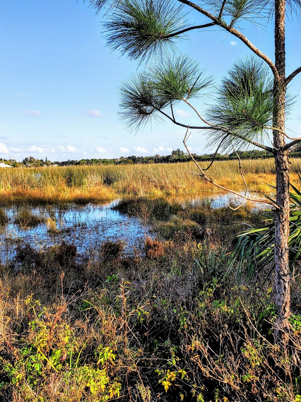 Bahia Beach Nature Preserve | 2513 W Shell Point Rd, Ruskin, FL 33570, USA | Phone: (813) 672-7876