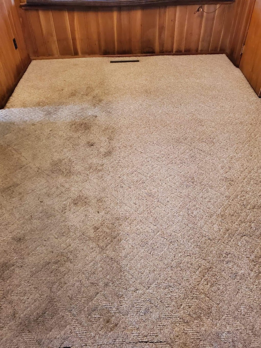 Pro-Clean Carpet & Upholstery Cleaning | 210 Cedar St #98, Pataskala, OH 43062, USA | Phone: (614) 794-5448