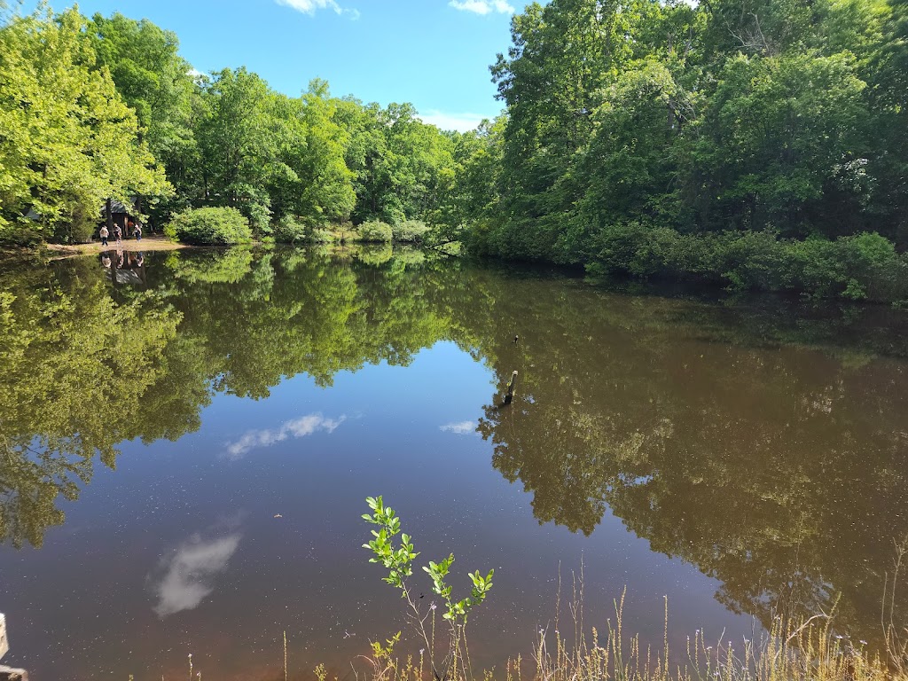 Ole Gilliam Mill Park | 4717 Carbonton Rd #4637, Sanford, NC 27330, USA | Phone: (919) 774-5554