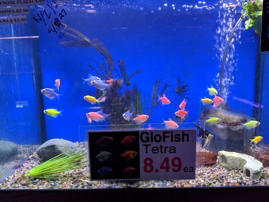 Midway Tropical Fish & Pets | 24101 Pacific Hwy S, Kent, WA 98032, USA | Phone: (206) 824-2616
