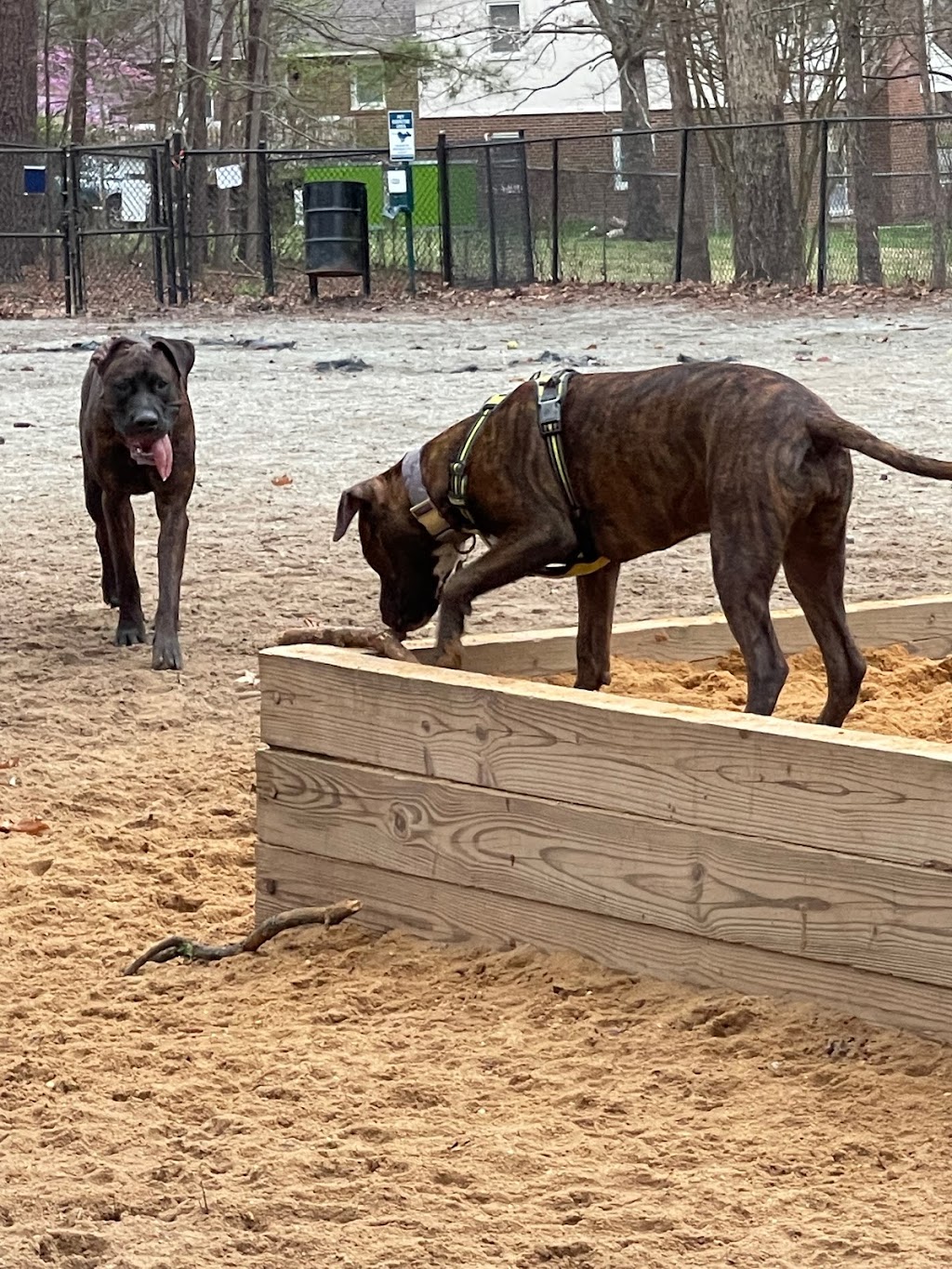 Piney Wood Dog Park | 400 E Woodcroft Pkwy, Durham, NC 27713, USA | Phone: (919) 560-4355 ext. 27261