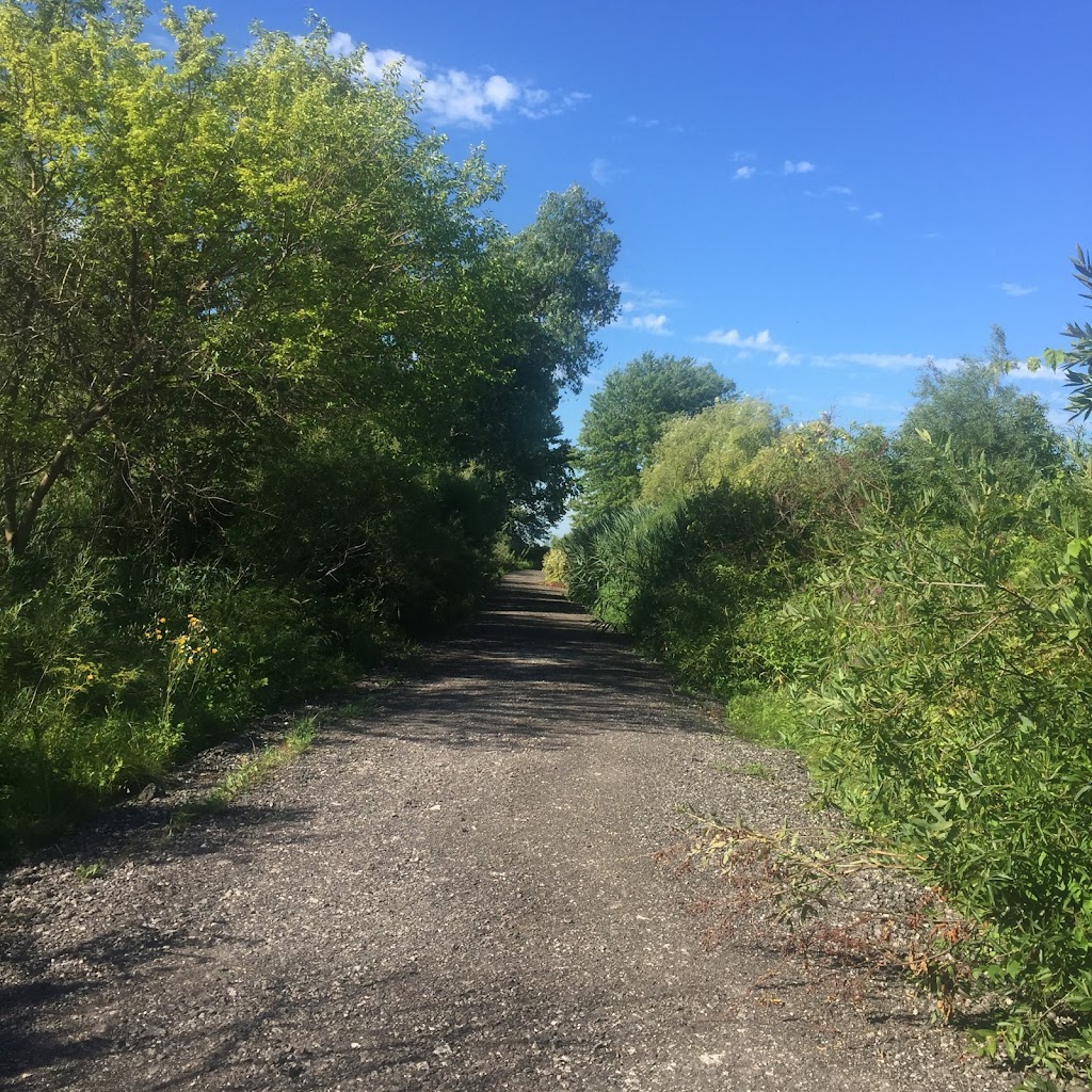 Detroit River International Wildlife Refuge - Gibraltar Bay Unit | 28820 E River Rd, Grosse Ile Township, MI 48138, USA | Phone: (734) 365-0219