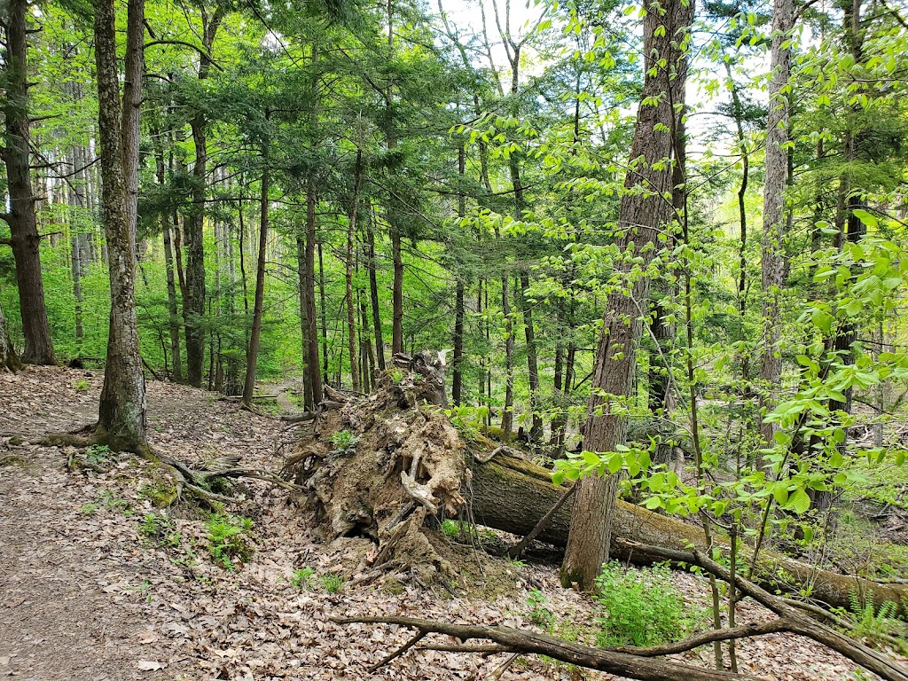 Indian Kill Nature Preserve | Schenectady, NY 12302, USA | Phone: (518) 688-1200 ext. 321