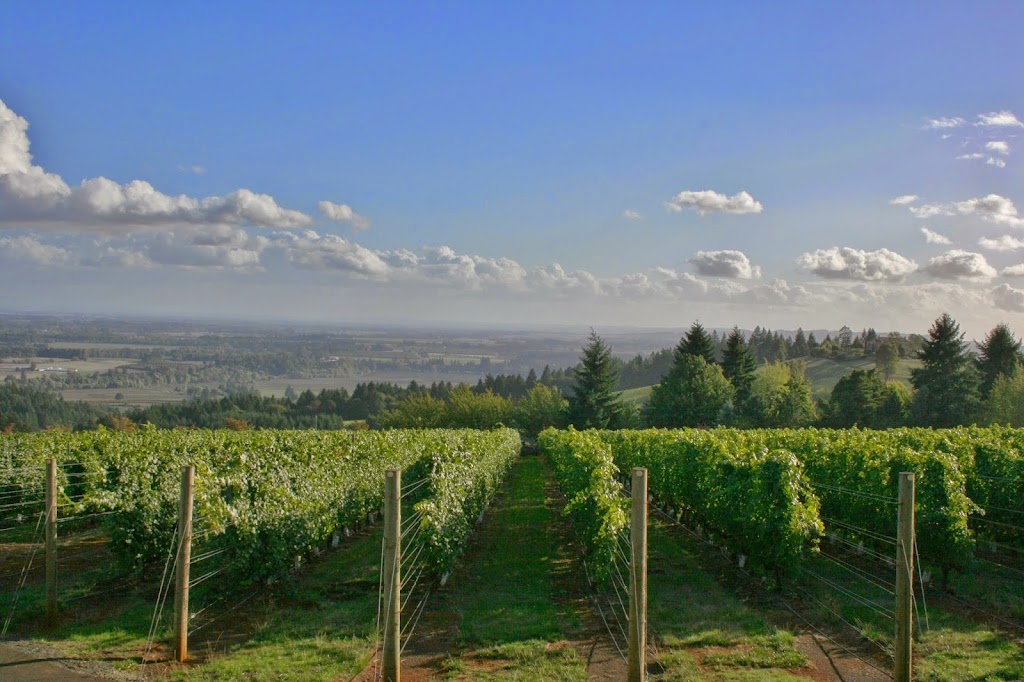 Vino Ventures Oregon Winery Tours | 6700 SW 105th Ave UNIT 104, Beaverton, OR 97008, USA | Phone: (503) 244-4653