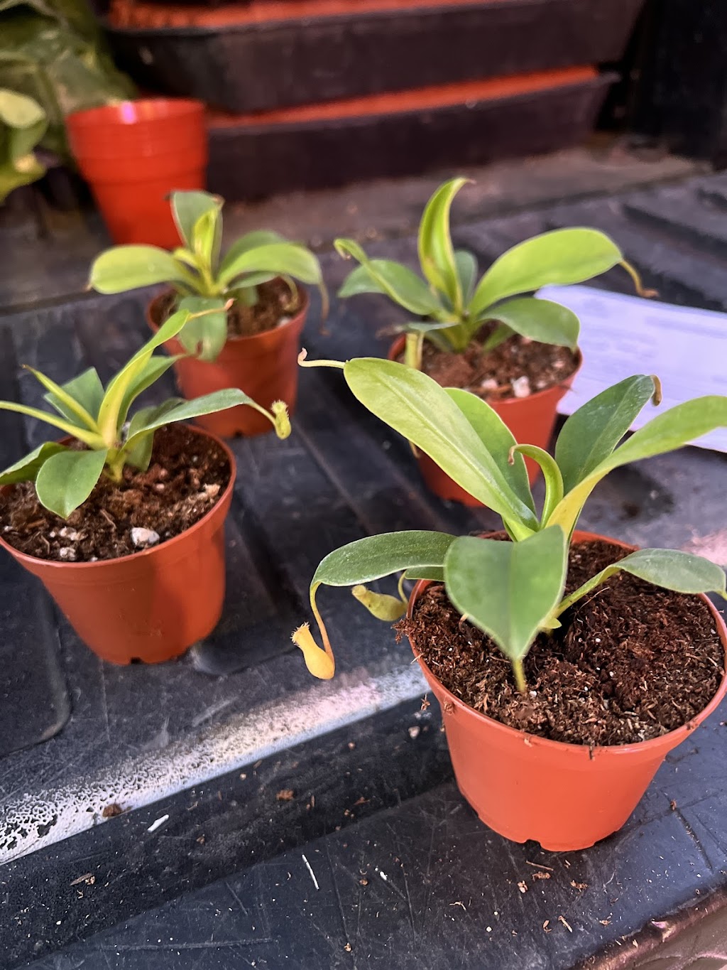 Simply Treasures & More | Copper Way, Vacaville, CA 95687, USA | Phone: (707) 694-6779