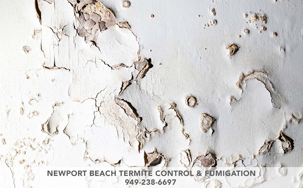 Newport Beach Termite Control & Fumigation | 224 Marine Ave, Newport Beach, CA 92662, USA | Phone: (949) 238-6697