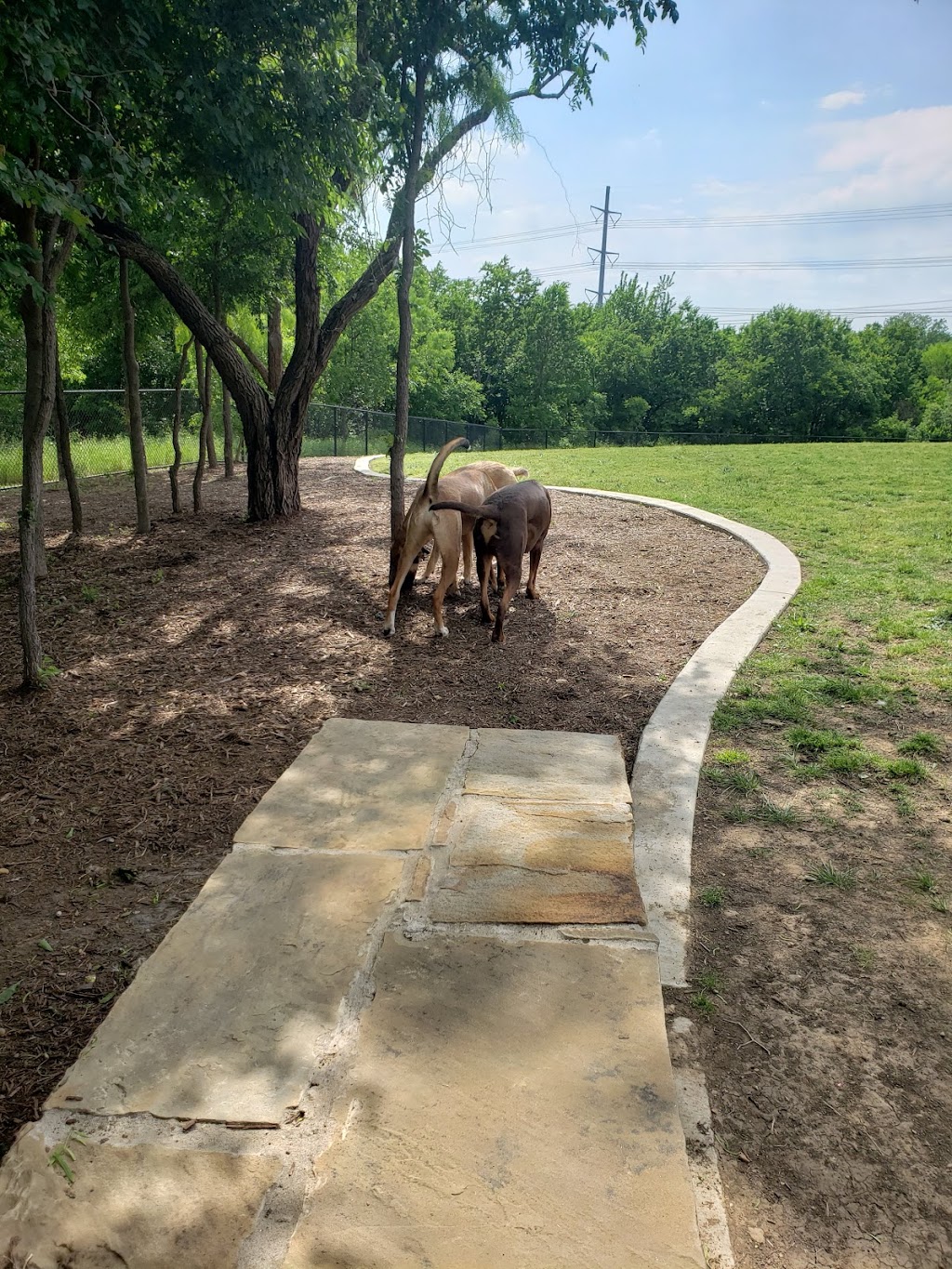 Ruff Range Dog Park | Memorial Road, 5335 4th Army Dr, Frisco, TX 75034, USA | Phone: (972) 292-6500