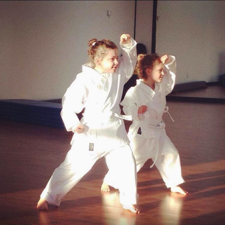 North Metro Martial Arts | 3791 S Cobb Dr SE, Smyrna, GA 30080, USA | Phone: (404) 500-9701