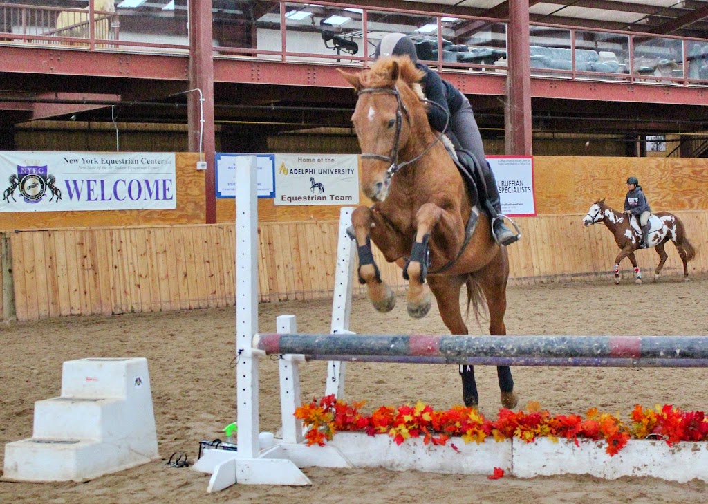 New York Equestrian Center | 633 Eagle Ave, West Hempstead, NY 11552, USA | Phone: (516) 486-9673