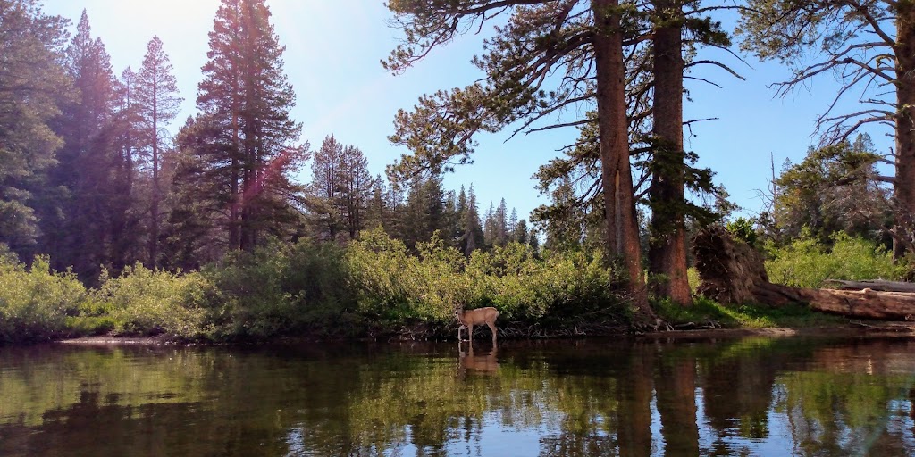 Webber Lake Campground | Sierraville, CA 96126, USA | Phone: (530) 587-2267