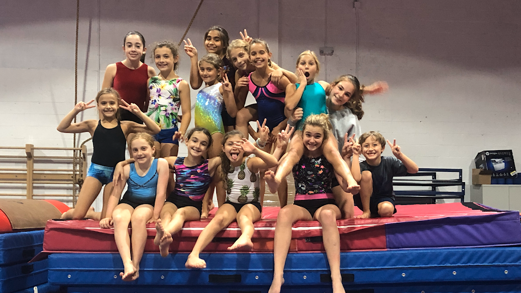 Top Gymnastics | 20287 NE 15th Ct, Miami, FL 33179, USA | Phone: (786) 590-5200