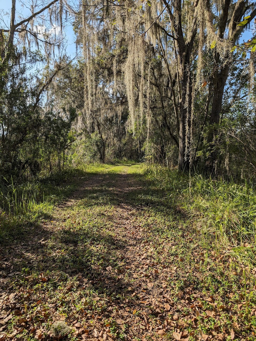 Tenoroc Public Use Area | 3755 Tenoroc Mine Rd, Lakeland, FL 33805, USA | Phone: (863) 606-0093