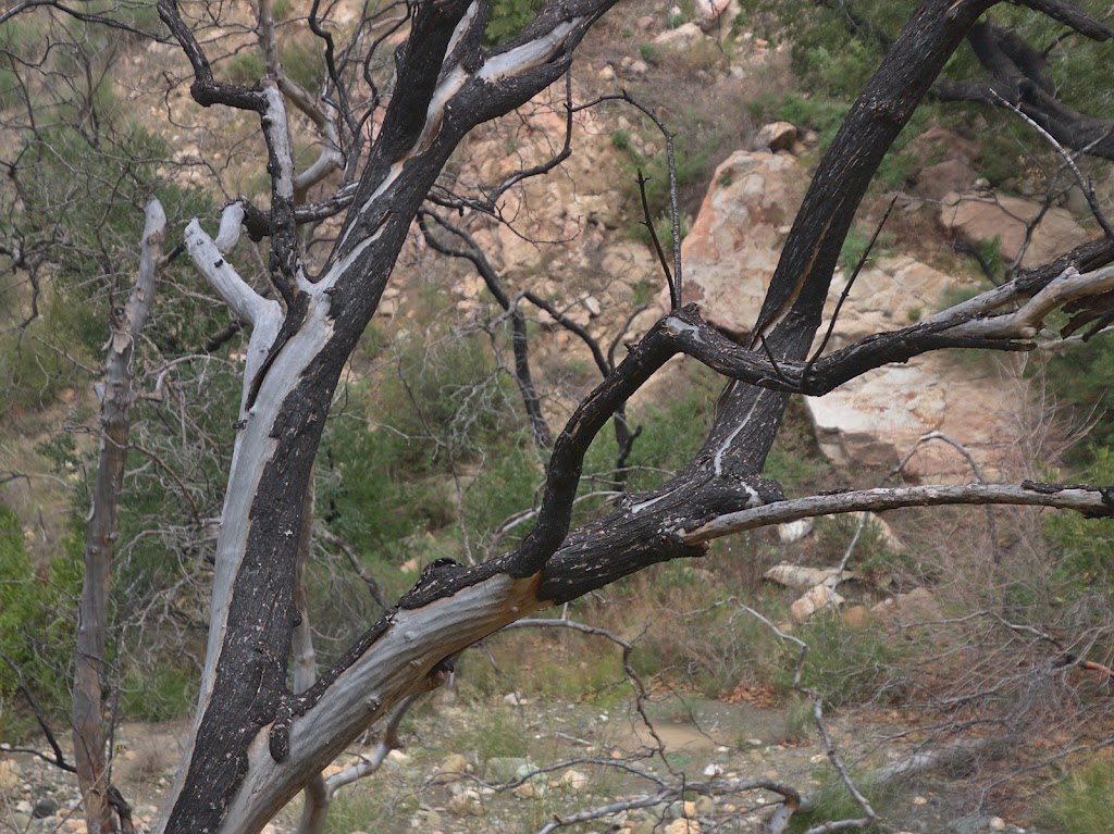 Upper Oso Trailhead | Camuesa Canyon Rd Upper Oso CG, Paradise Rd, Santa Barbara, CA 93105, USA | Phone: (805) 967-3481