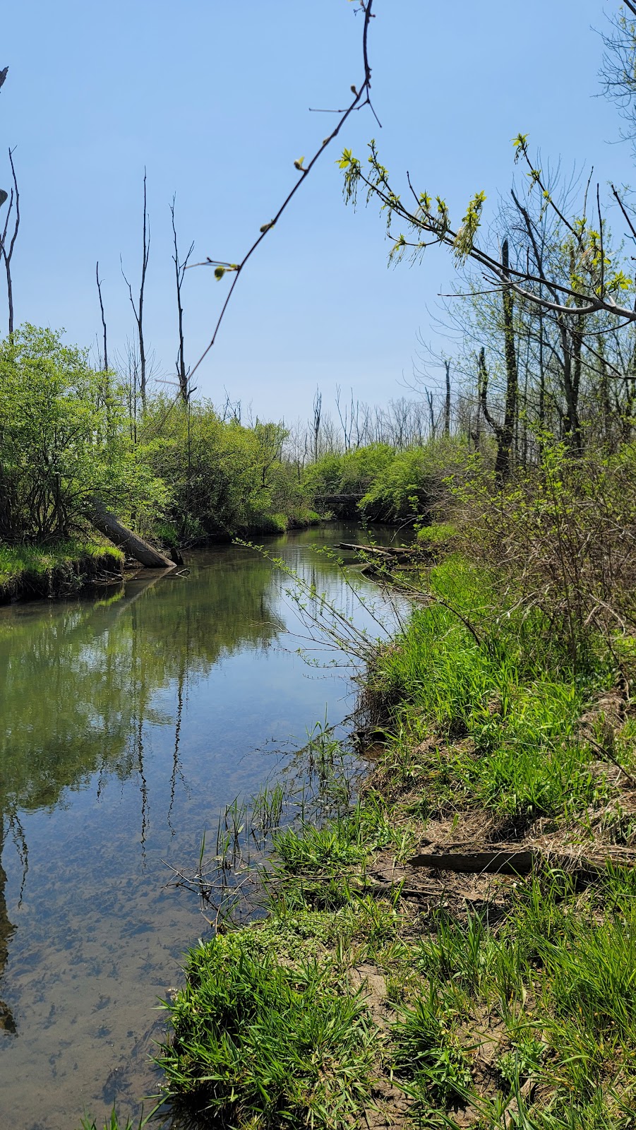 Siebenthaler Fen Boardwalk - Beavercreek Wildlife Area | 1998 Fairground Rd #1952, Dayton, OH 45434, USA | Phone: (937) 320-9042 Siebenthaler Fen Boardwalk - Beavercreek Wildlife Area | 1998 Fairground Rd #1952, Dayton, OH 45434, USA | Phone: (937) 320-9042