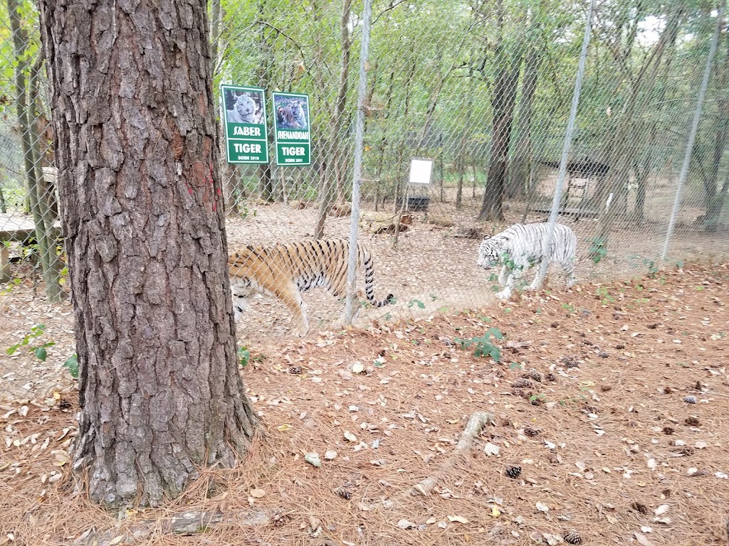 Carolina Tiger Rescue | 1940 Hanks Chapel Rd, Pittsboro, NC 27312, USA | Phone: (919) 542-4684