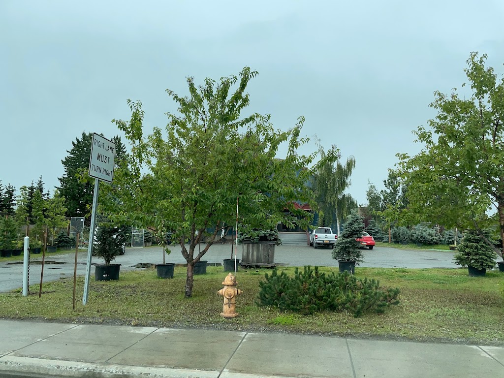 Arthur Campbell Nursery in 2610 Minnesota Dr, Anchorage, AK 99503, USA