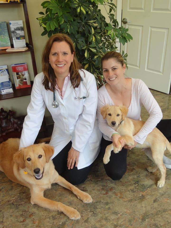 Butler Veterinary Hospital | 417 Main St, Butler, NJ 07405, USA | Phone: (973) 850-6300