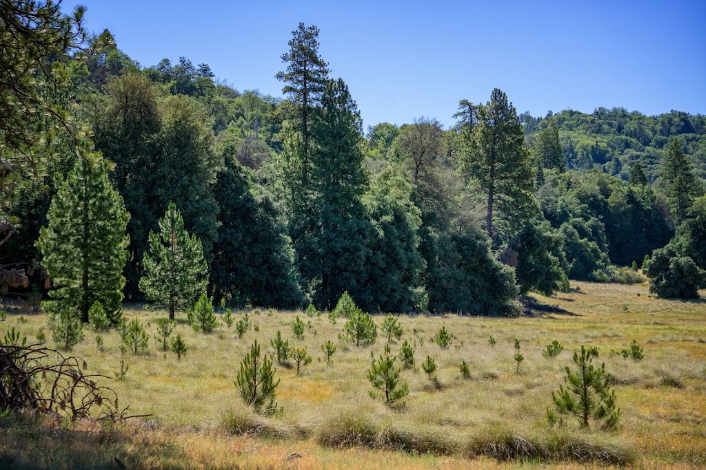 Doane Valley Nature Nature Preserve | Palomar Mountain, CA 92060, USA | Phone: (619) 990-0738